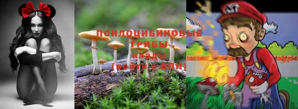 кокс Абаза