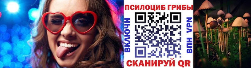 ОМГ ОМГ зеркало  Отрадное  Галлюциногенные грибы Magic Shrooms  где купить  