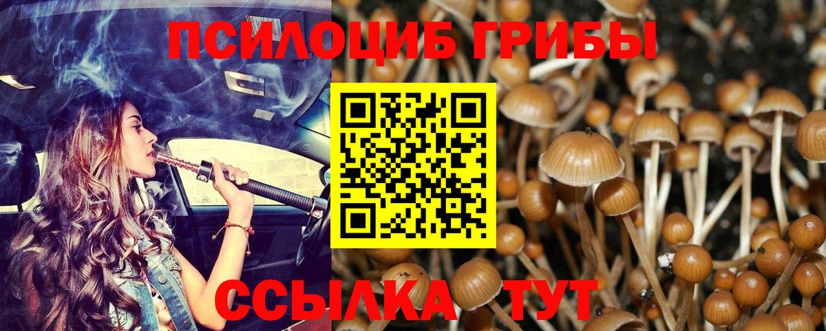 Отрадное  Галлюциногенные грибы Psilocybe  Вход с VPN  Галлюциногенные грибы ЛСД 