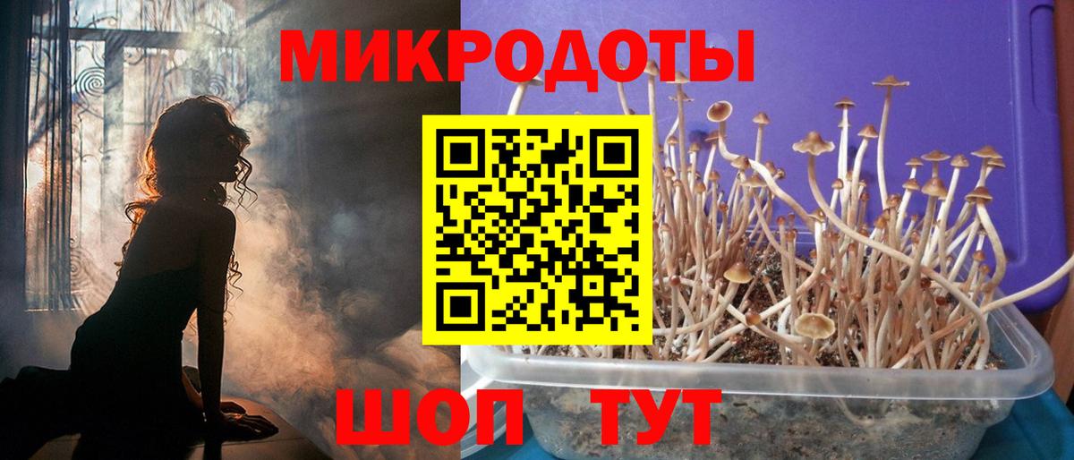 Отрадное  купить наркотики сайты  Галлюциногенные грибы MAGIC MUSHROOMS  Вход с VPN  Псилоцибиновые грибы Psilocybine cubensis 