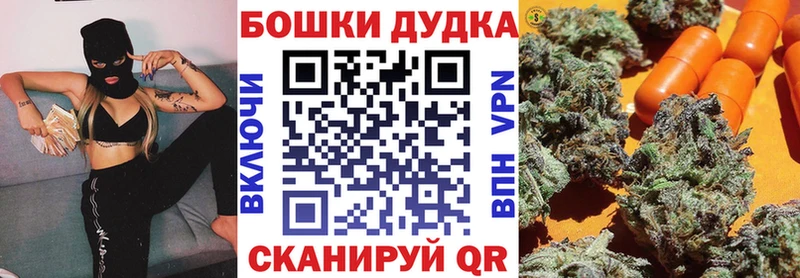 наркотики  Отрадное  Бошки марихуана семена 